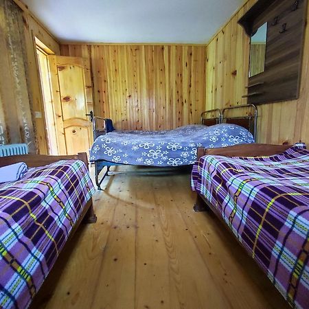 Adishi Guest House Zhora Kaldani エクステリア 写真