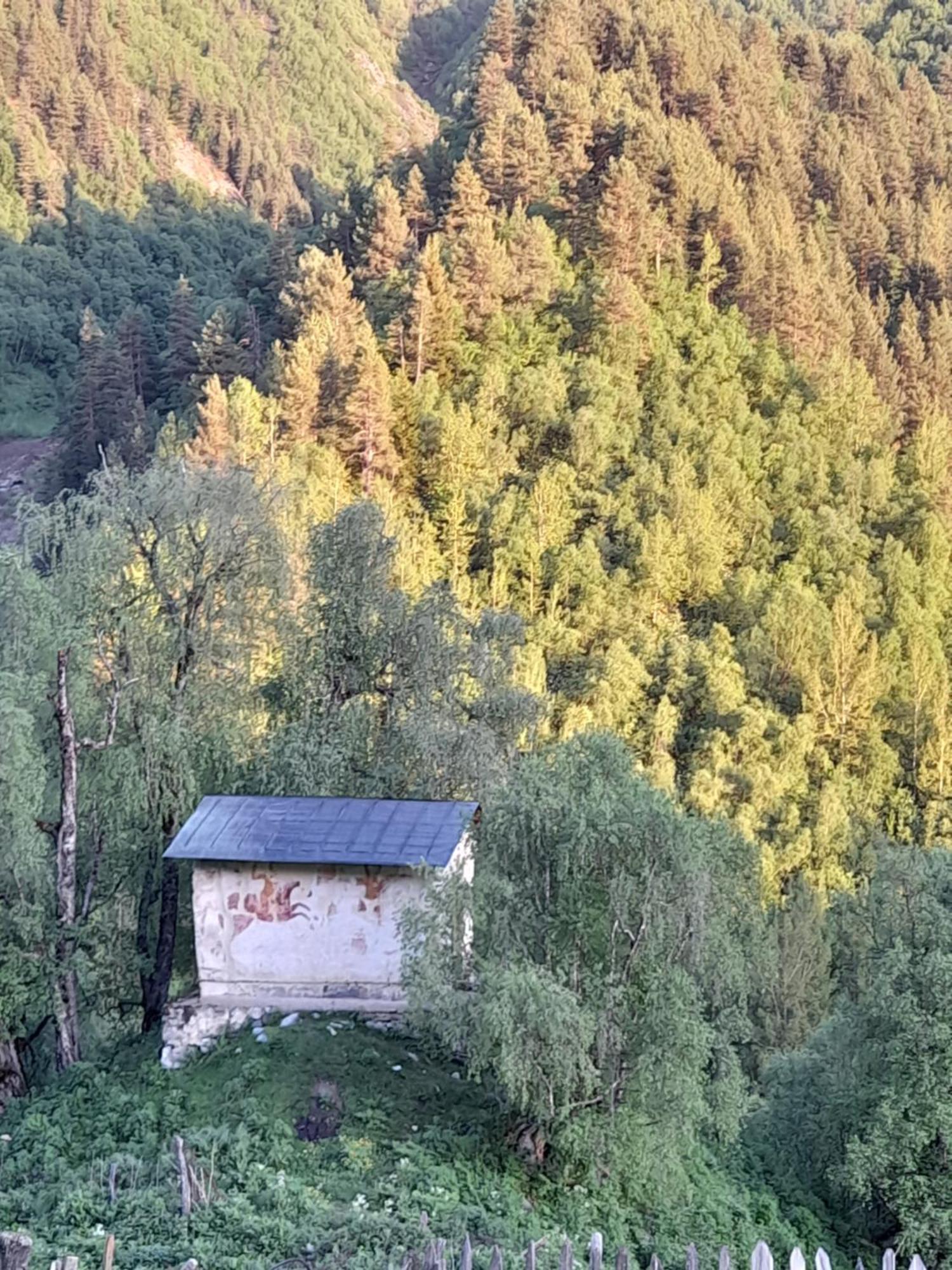Adishi Guest House Zhora Kaldani エクステリア 写真